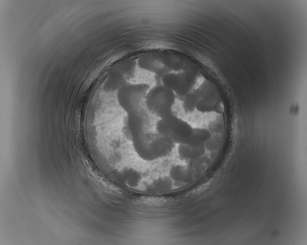 X0000114550825200911091153