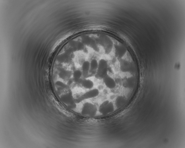 X0000114550827200911091153