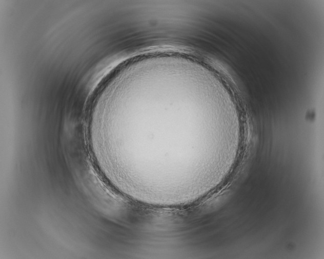 X0000114550828200911091153
