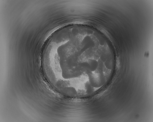 X0000114550829200911091153