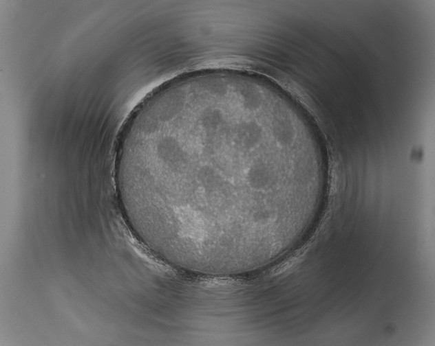 X0000114550830200911091153