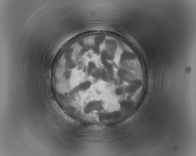 X0000114550831200911091153