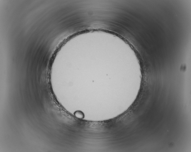 X0000114550832200911091153