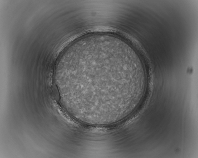 X0000114550833200911091153