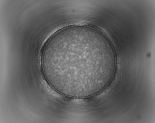 X0000114550835200911091154