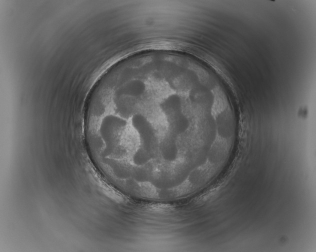 X0000114550837200911091154