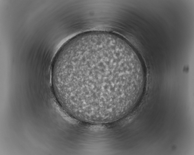 X0000114550838200911091154