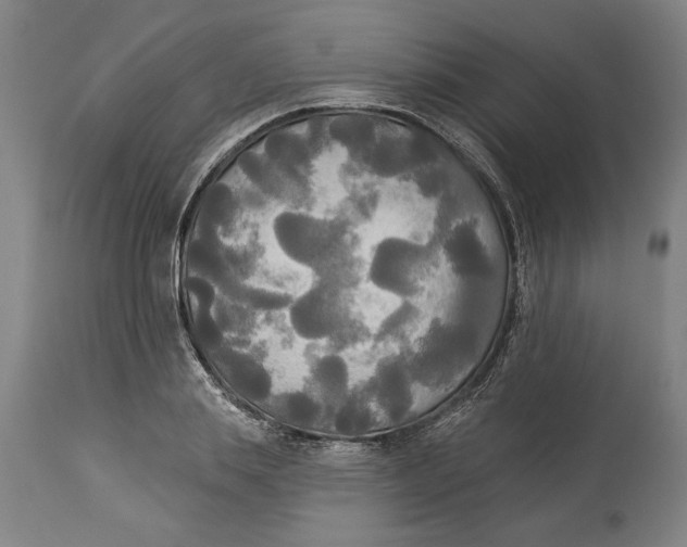 X0000114550839200911091154