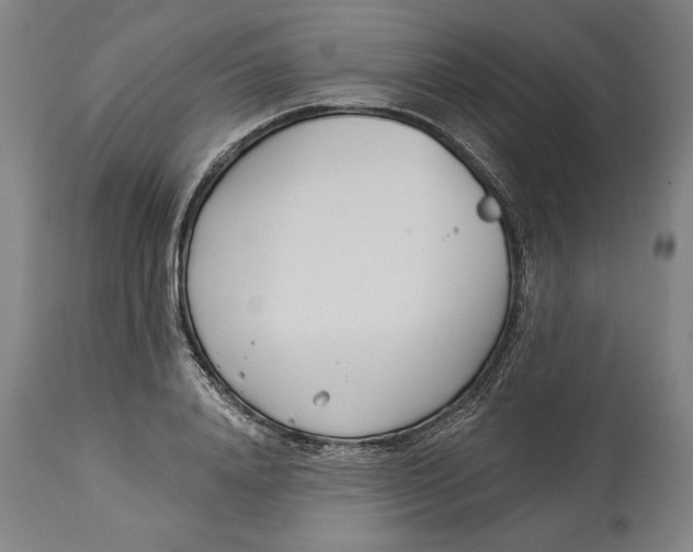 X0000114550840200911091154