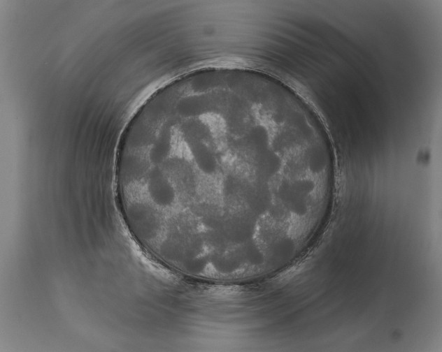 X0000114550845200911091154