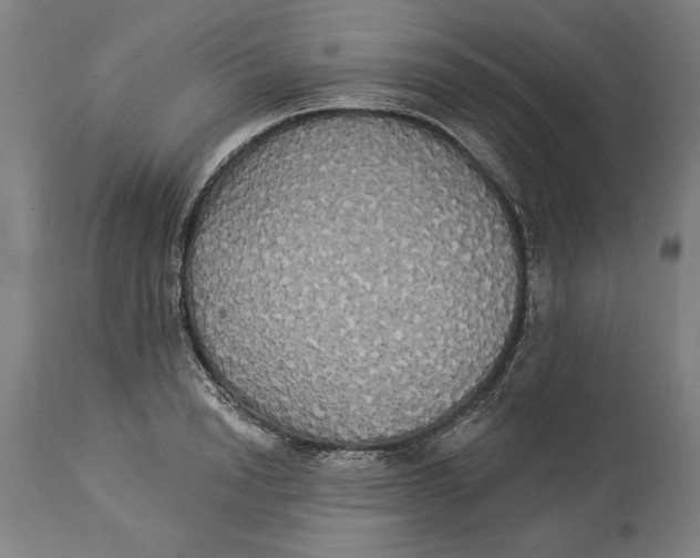 X0000114550846200911091154