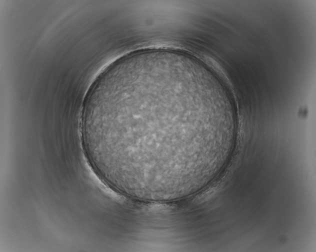 X0000114550847200911091154