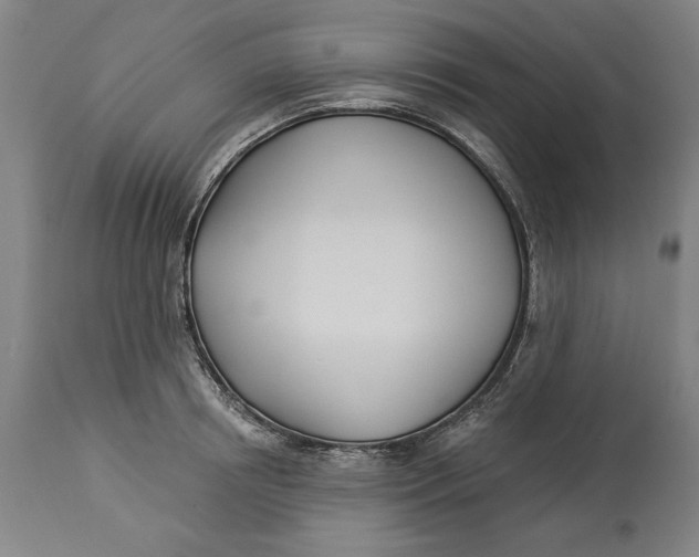 X0000114550850200911091154