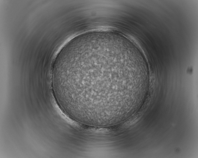 X0000114550851200911091154