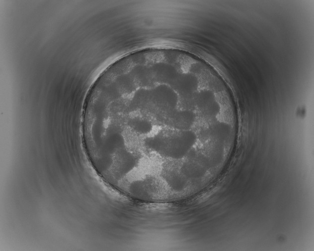 X0000114550853200911091154