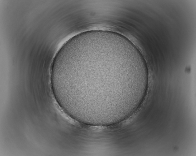 X0000114550854200911091154