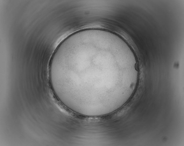 X0000114550858200911091154