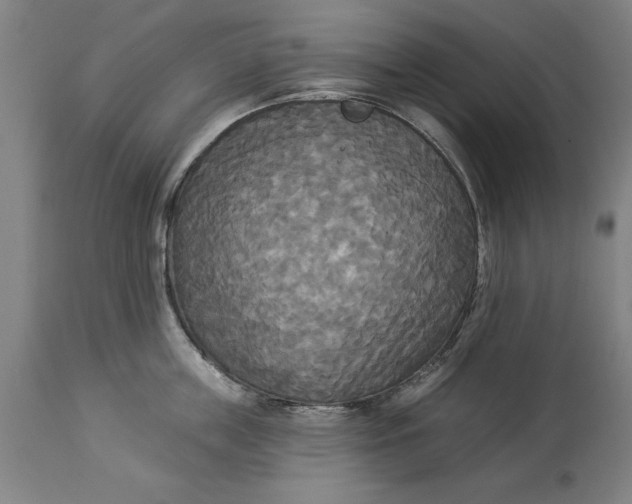 X0000114550859200911091154