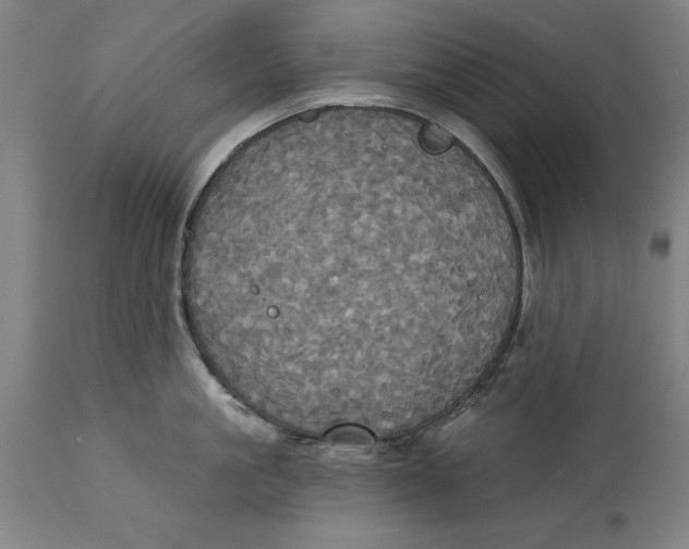 X0000114550861200911091154