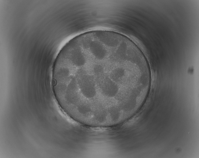 X0000114550862200911091154
