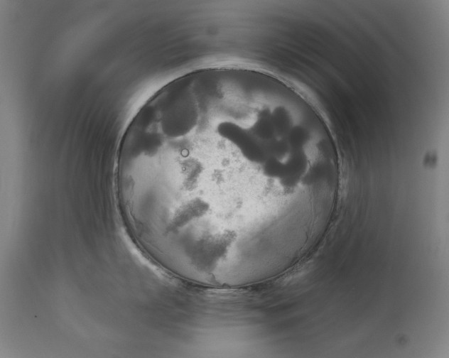 X0000114550863200911091154