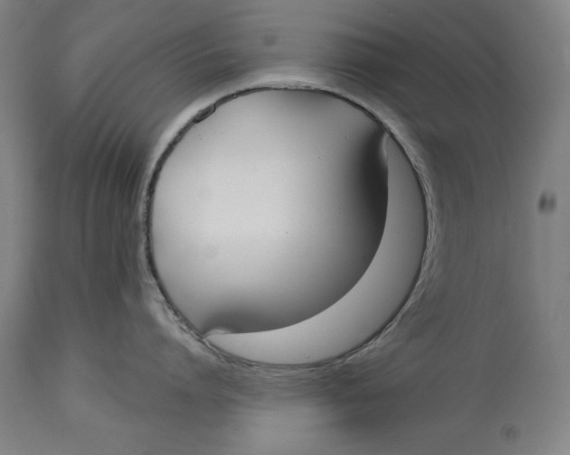 X0000114550864200911091154