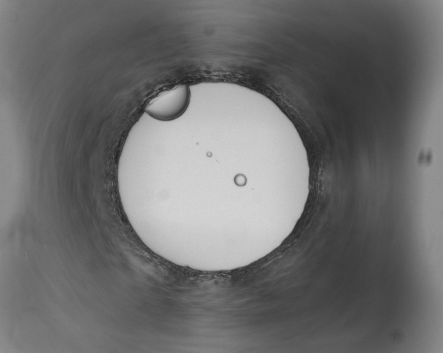 X0000114550865200911091153