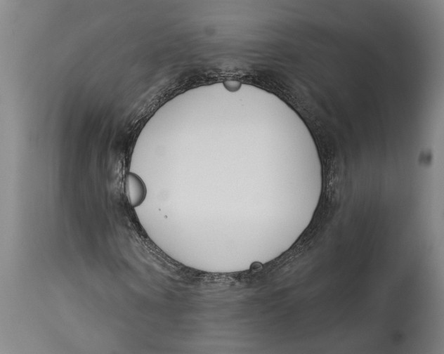 X0000114550866200911091153