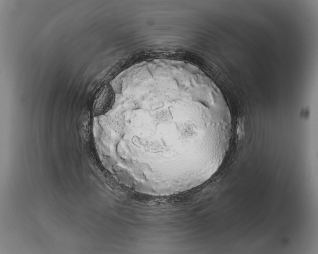 X0000114550867200911091153