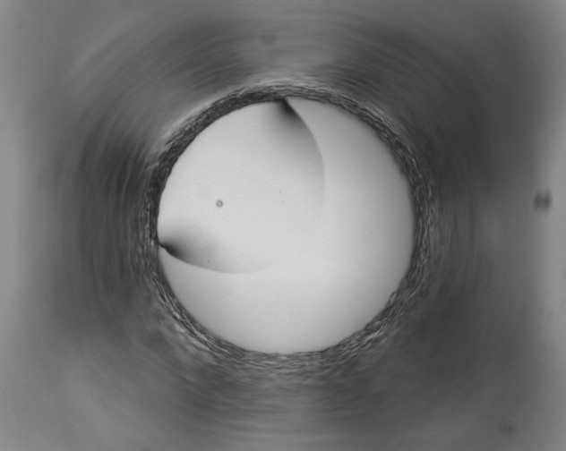 X0000114550872200911091153