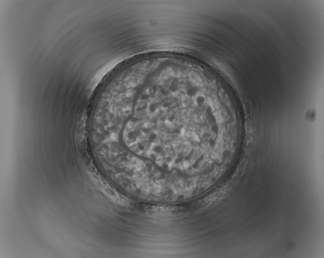 X0000114550875200911091153