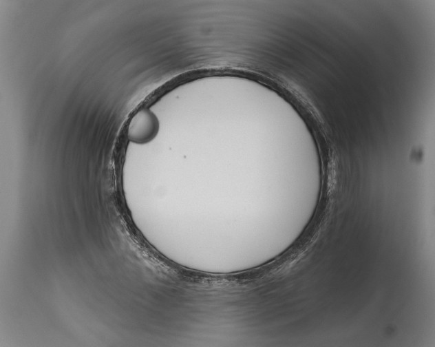 X0000114550876200911091153