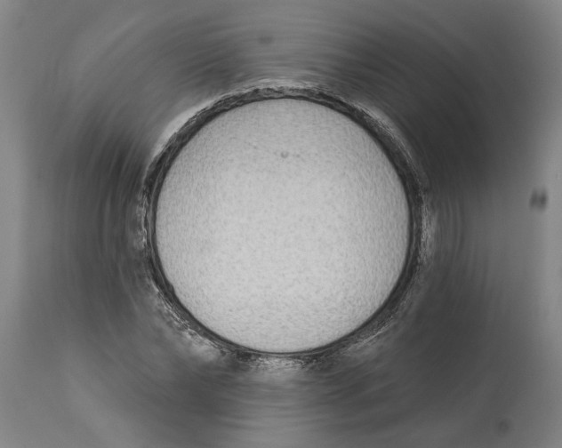 X0000114550878200911091153
