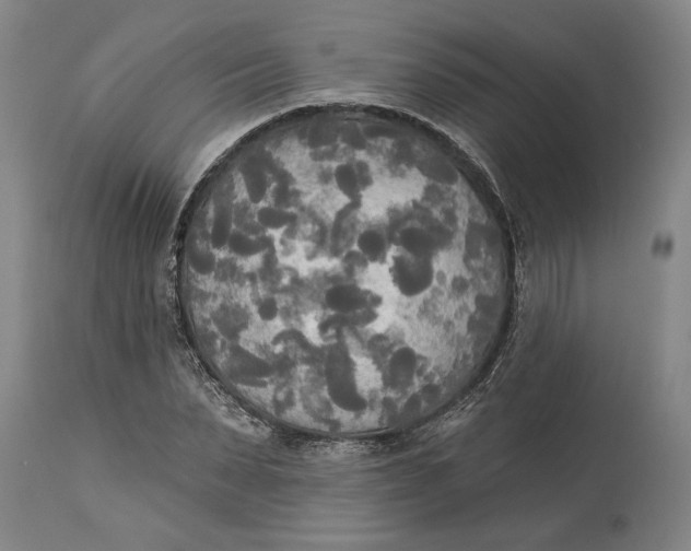 X0000114550879200911091153
