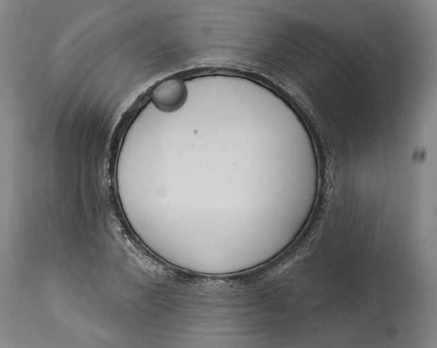 X0000114550880200911091153