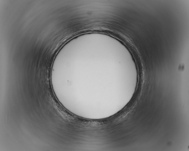 X0000114550881200911091153