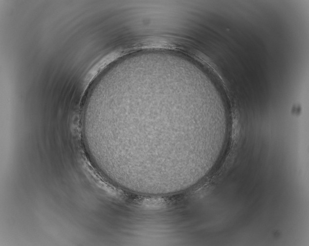 X0000114550882200911091153