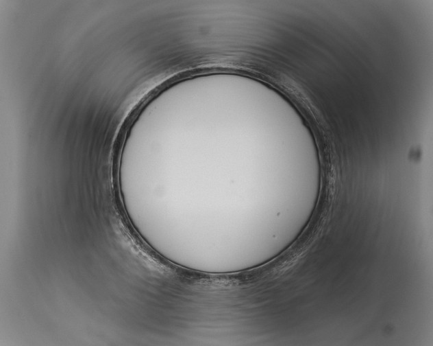 X0000114550884200911091153