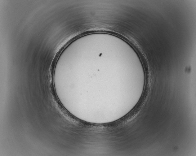 X0000114550885200911091153