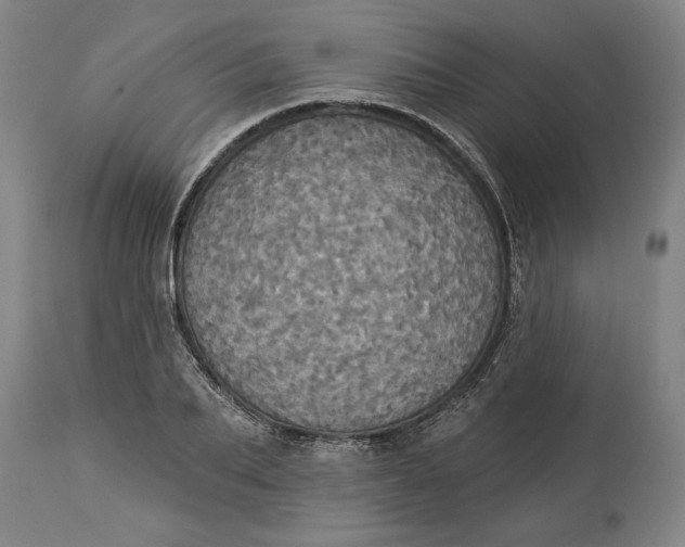 X0000114550887200911091153
