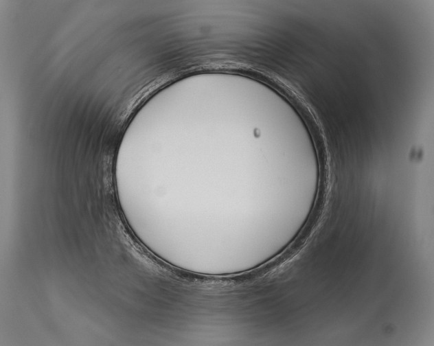 X0000114550889200911091153