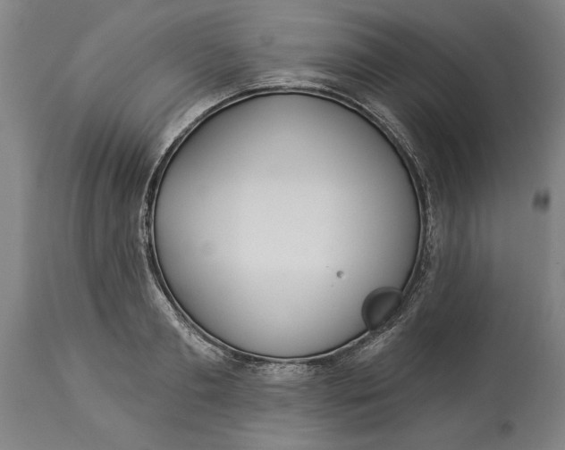 X0000114550893200911091153