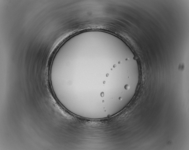 X0000114550894200911091153