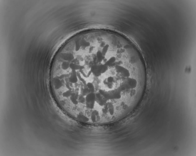 X0000114550895200911091153