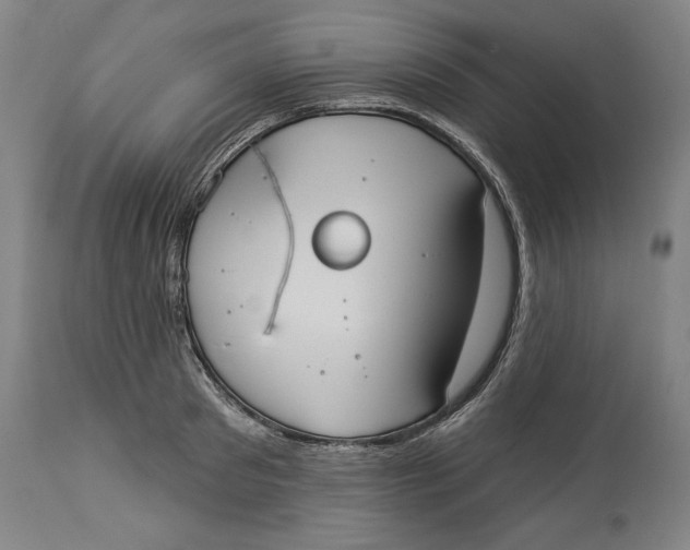 X0000114550897200911091153