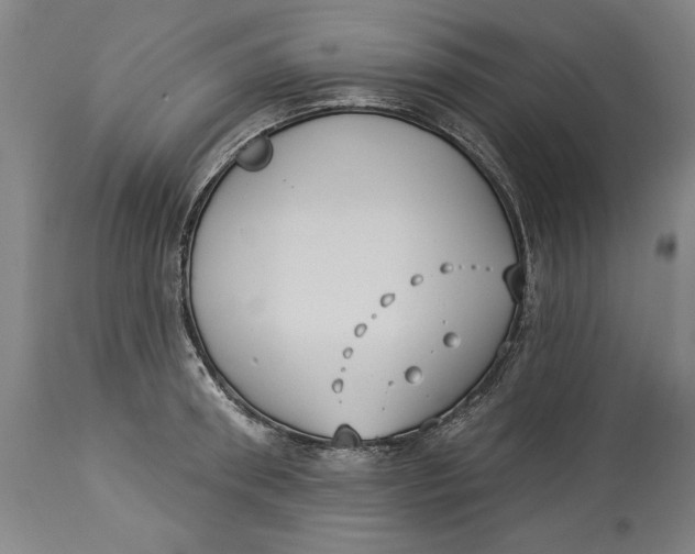 X0000114550898200911091153