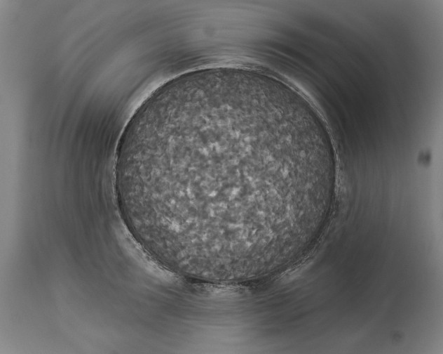 X0000114550899200911091153