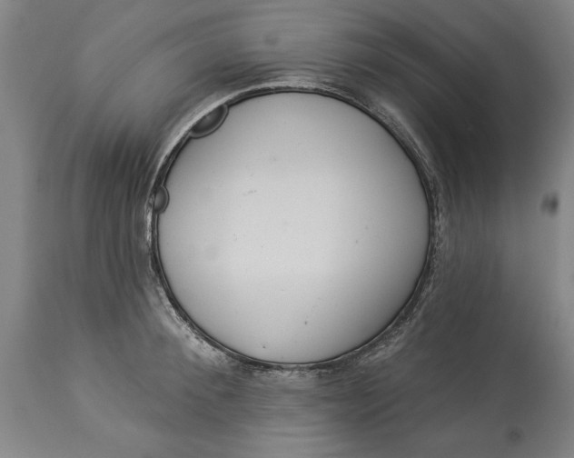 X0000114550900200911091153