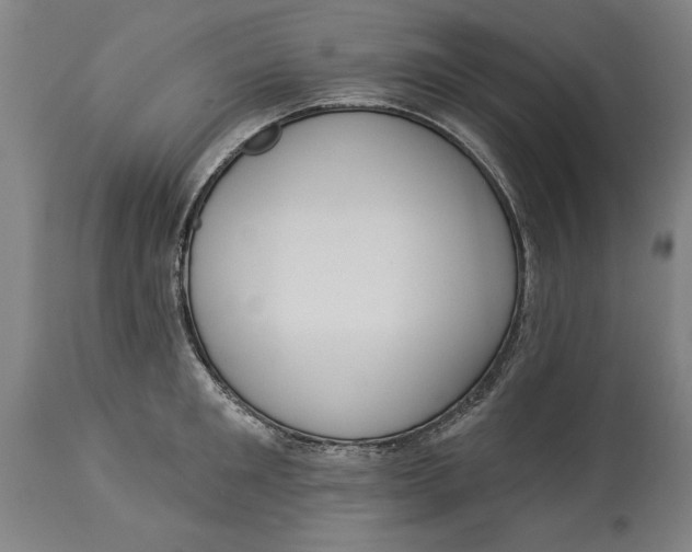 X0000114550901200911091153