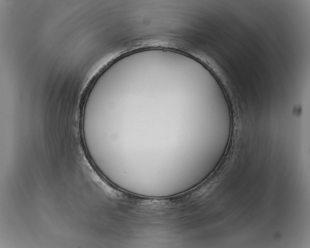 X0000114550902200911091153